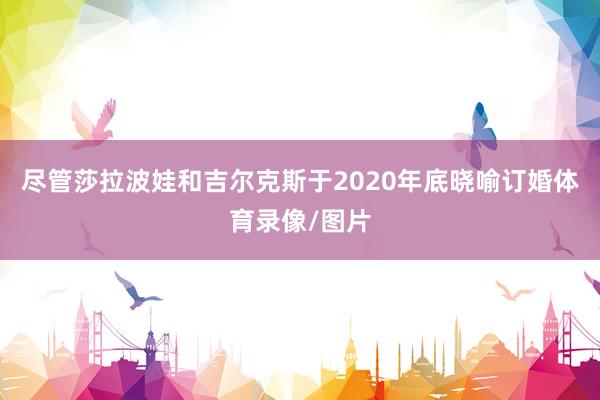 尽管莎拉波娃和吉尔克斯于2020年底晓喻订婚体育录像/图片