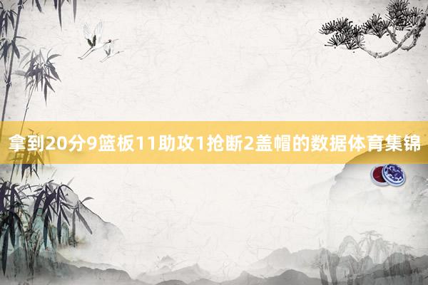 拿到20分9篮板11助攻1抢断2盖帽的数据体育集锦