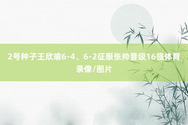 2号种子王欣瑜6-4、6-2征服张帅晋级16强体育录像/图片