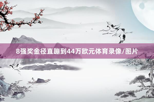 8强奖金径直蹦到44万欧元体育录像/图片