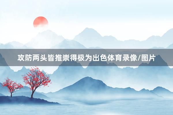 攻防两头皆推崇得极为出色体育录像/图片