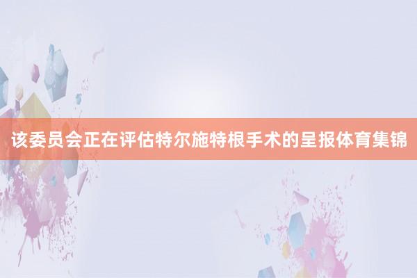 该委员会正在评估特尔施特根手术的呈报体育集锦