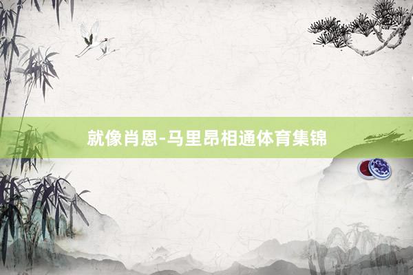 就像肖恩-马里昂相通体育集锦