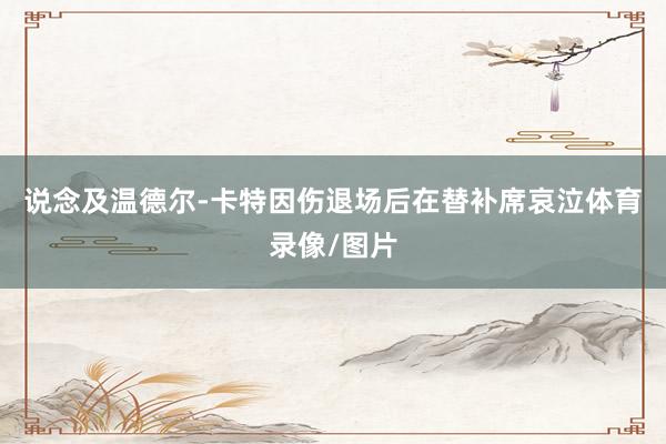 说念及温德尔-卡特因伤退场后在替补席哀泣体育录像/图片