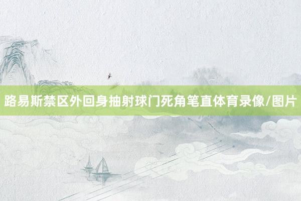路易斯禁区外回身抽射球门死角笔直体育录像/图片
