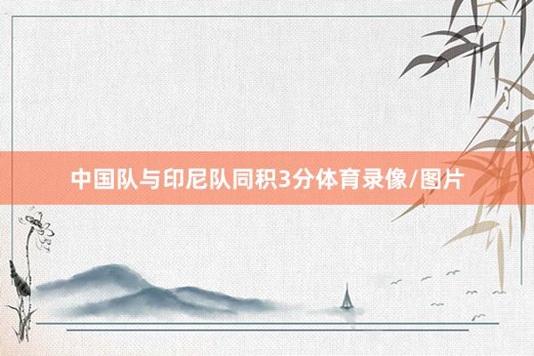 中国队与印尼队同积3分体育录像/图片