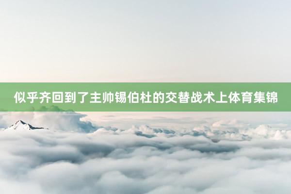 似乎齐回到了主帅锡伯杜的交替战术上体育集锦
