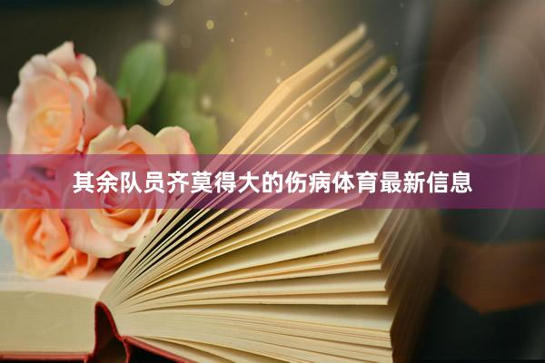 其余队员齐莫得大的伤病体育最新信息