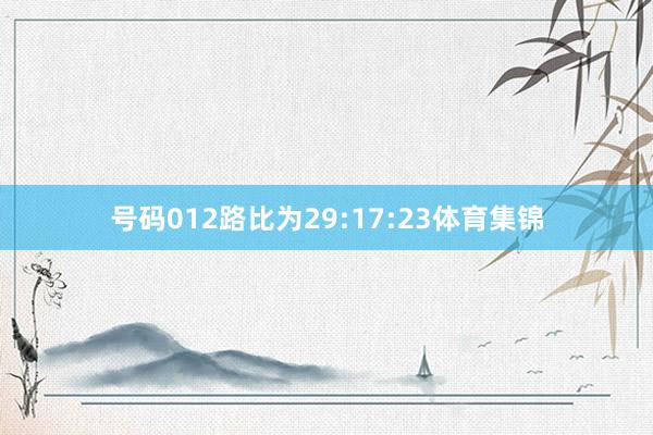 号码012路比为29:17:23体育集锦