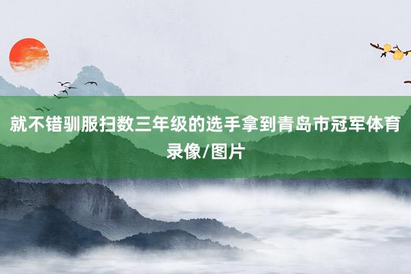 就不错驯服扫数三年级的选手拿到青岛市冠军体育录像/图片