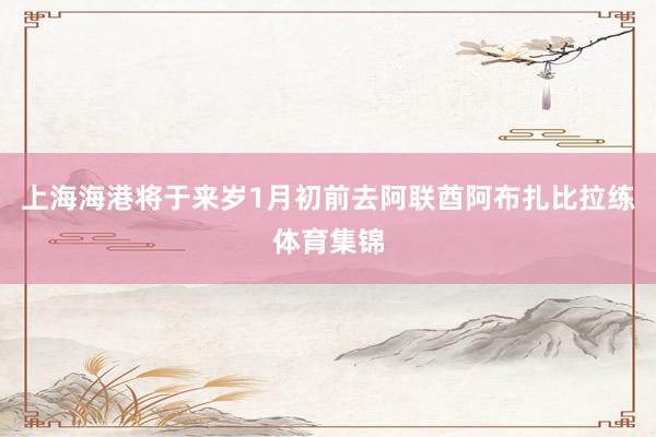 上海海港将于来岁1月初前去阿联酋阿布扎比拉练体育集锦