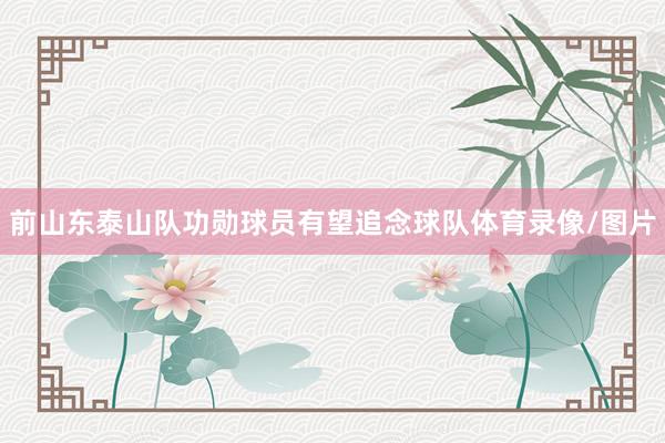 前山东泰山队功勋球员有望追念球队体育录像/图片