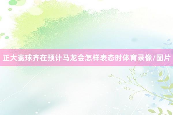 正大寰球齐在预计马龙会怎样表态时体育录像/图片