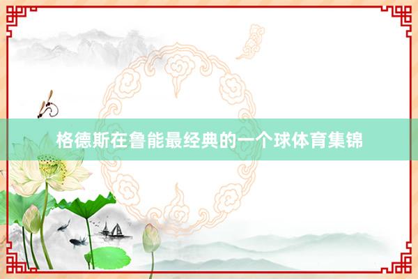 格德斯在鲁能最经典的一个球体育集锦