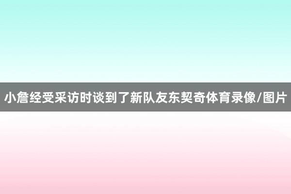 小詹经受采访时谈到了新队友东契奇体育录像/图片