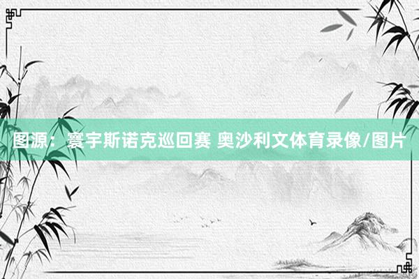 图源：寰宇斯诺克巡回赛 奥沙利文体育录像/图片