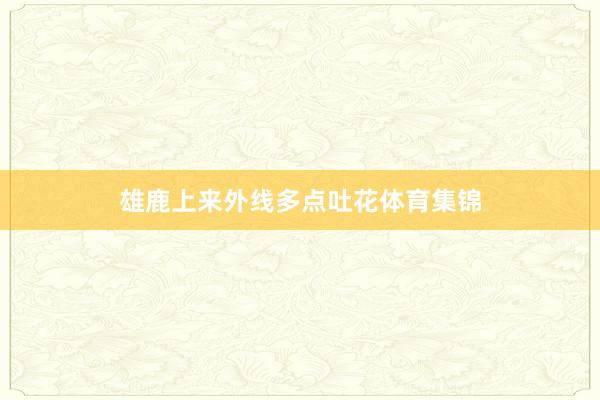 雄鹿上来外线多点吐花体育集锦
