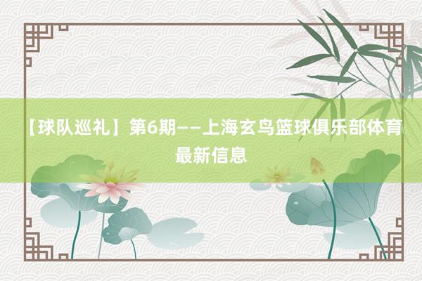 【球队巡礼】第6期——上海玄鸟篮球俱乐部体育最新信息