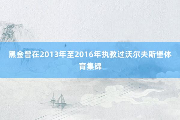 黑金曾在2013年至2016年执教过沃尔夫斯堡体育集锦