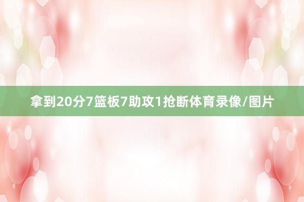 拿到20分7篮板7助攻1抢断体育录像/图片