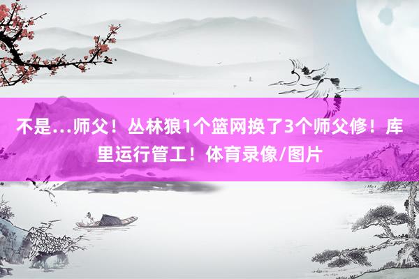 不是…师父！丛林狼1个篮网换了3个师父修！库里运行管工！体育