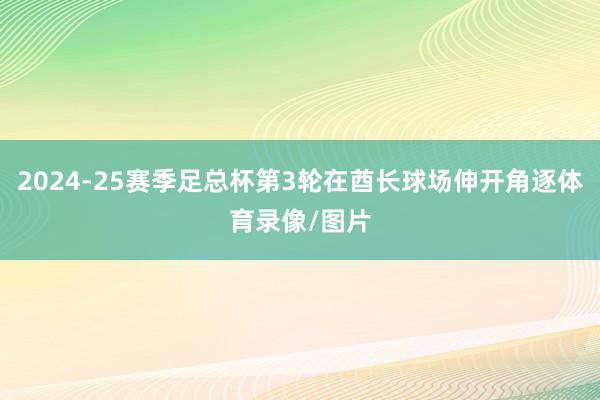 2024-25赛季足总杯第3轮在酋长球场伸开角逐体育录像/图