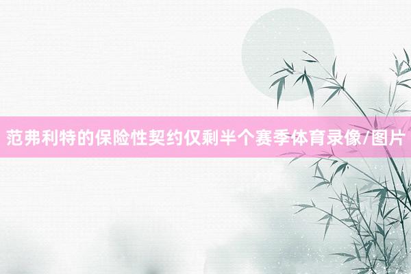 范弗利特的保险性契约仅剩半个赛季体育录像/图片