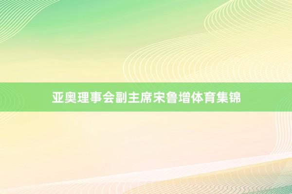 亚奥理事会副主席宋鲁增体育集锦