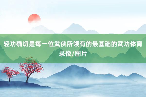 轻功确切是每一位武侠所领有的最基础的武功体育录像/图片