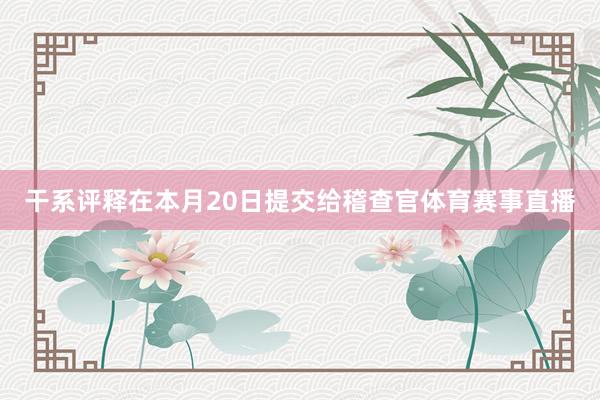 干系评释在本月20日提交给稽查官体育赛事直播