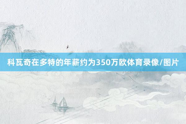科瓦奇在多特的年薪约为350万欧体育录像/图片