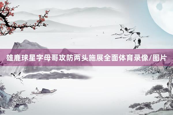 雄鹿球星字母哥攻防两头施展全面体育录像/图片