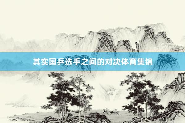 其实国乒选手之间的对决体育集锦