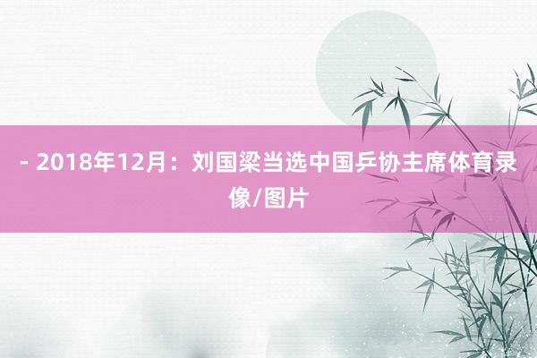 - 2018年12月：刘国梁当选中国乒协主席体育录像/图片