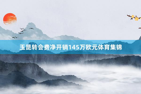 玉昆转会费净开销145万欧元体育集锦