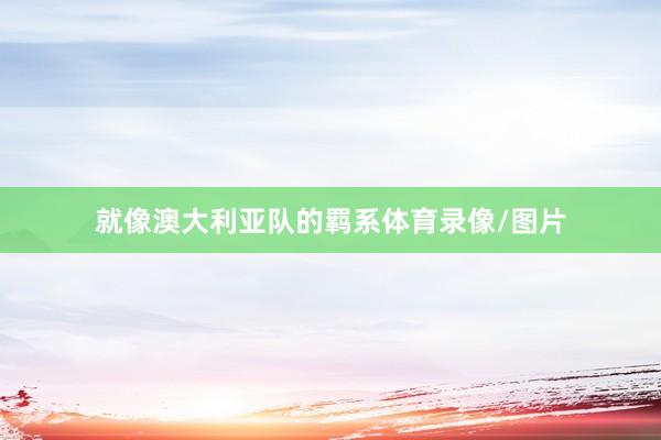 就像澳大利亚队的羁系体育录像/图片