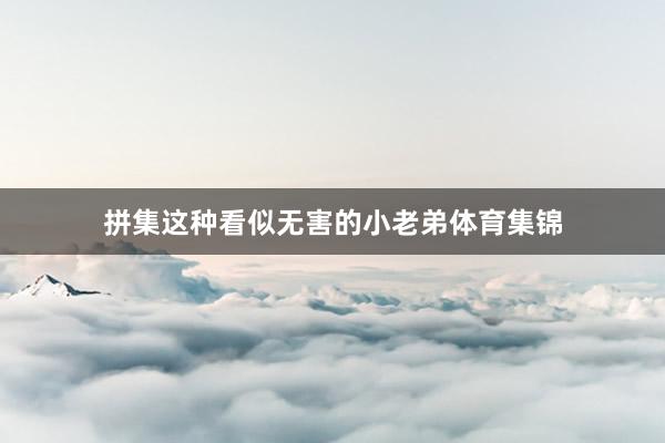 拼集这种看似无害的小老弟体育集锦
