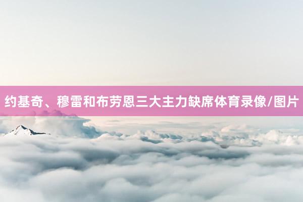 约基奇、穆雷和布劳恩三大主力缺席体育录像/图片