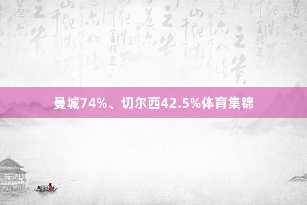 曼城74%、切尔西42.5%体育集锦
