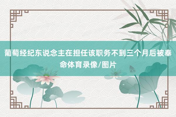 葡萄经纪东说念主在担任该职务不到三个月后被奉命体育录像/图片