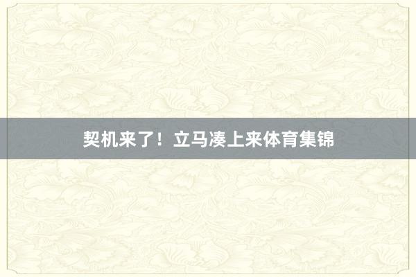 契机来了！立马凑上来体育集锦