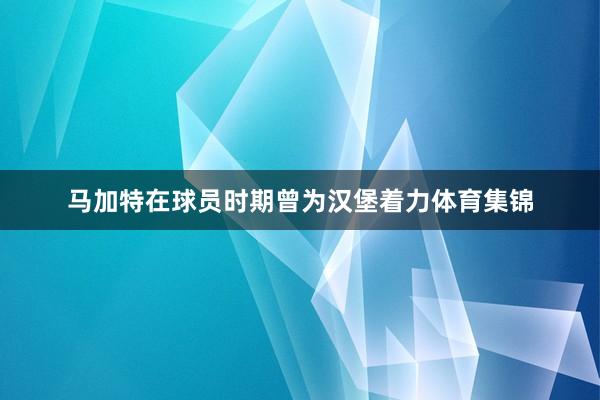 马加特在球员时期曾为汉堡着力体育集锦
