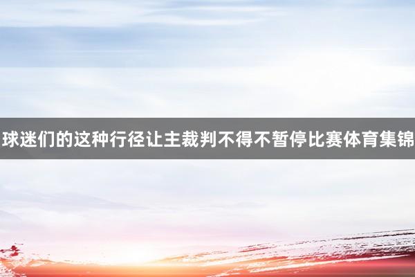 球迷们的这种行径让主裁判不得不暂停比赛体育集锦