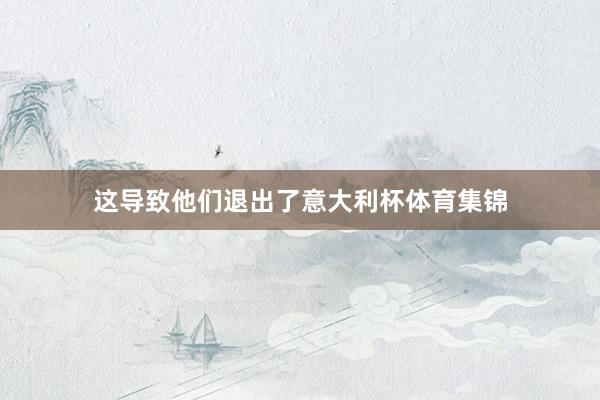 这导致他们退出了意大利杯体育集锦