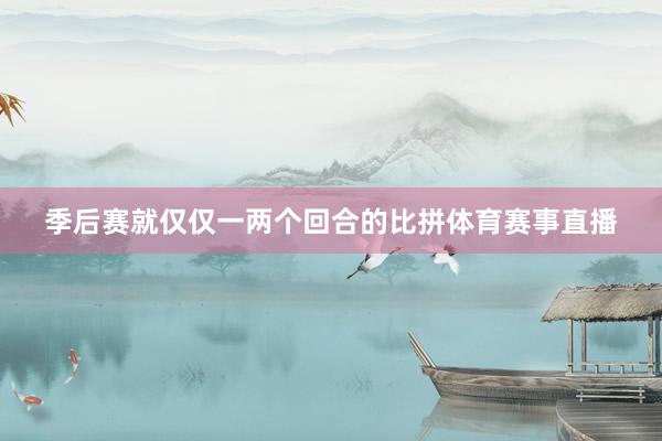 季后赛就仅仅一两个回合的比拼体育赛事直播