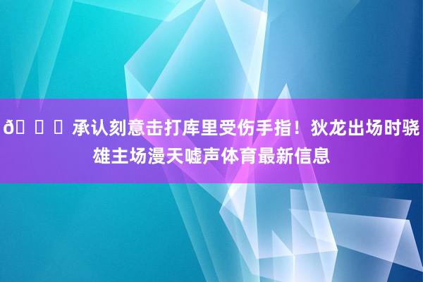 👀承认刻意击打库里受伤手指！狄龙出场时骁雄主场漫天嘘声体育最