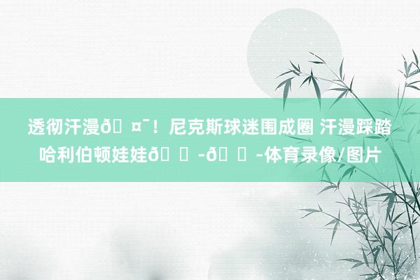 透彻汗漫🤯！尼克斯球迷围成圈 汗漫踩踏哈利伯顿娃娃😭😭体育录