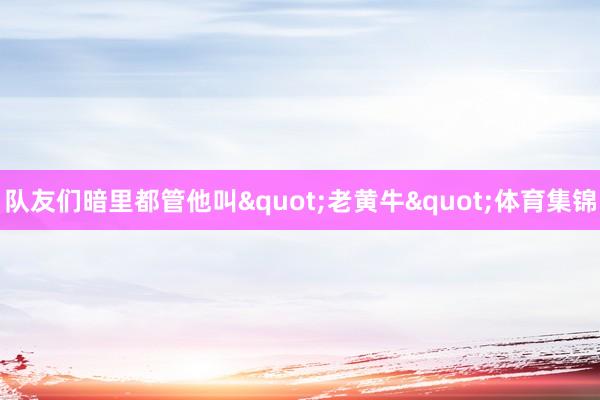 队友们暗里都管他叫"老黄牛&quo
