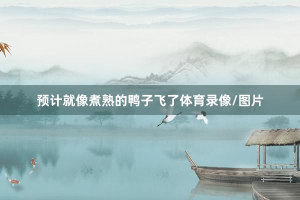 预计就像煮熟的鸭子飞了体育录像/图片