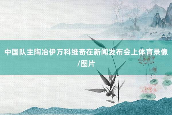 中国队主陶冶伊万科维奇在新闻发布会上体育录像/图片